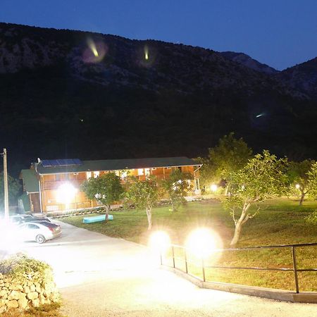 Guest House Jadran Pol Petrovac Εξωτερικό φωτογραφία