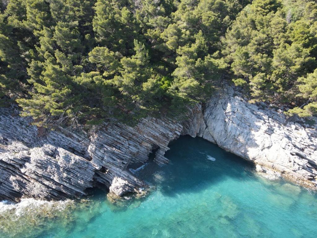 Guest House Jadran Pol Petrovac Εξωτερικό φωτογραφία