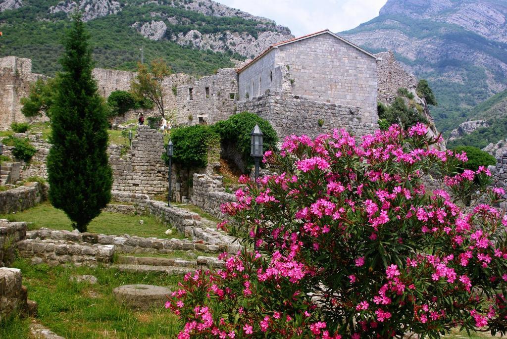 Guest House Jadran Pol Petrovac Εξωτερικό φωτογραφία